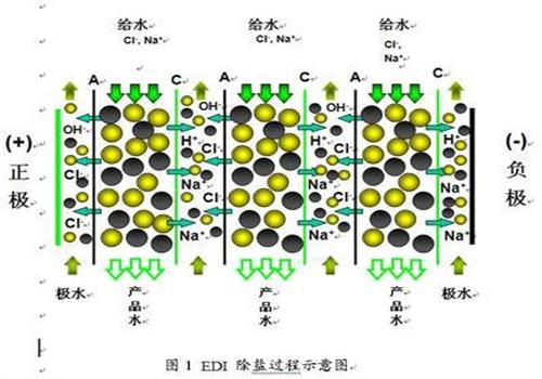 edi纯水设备的工作原理