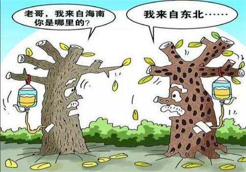 水土不服